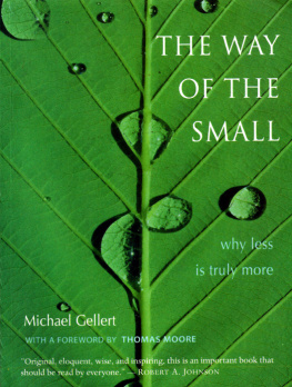 Michael Gellert - The Way of the Small: Why Less Is Truly More