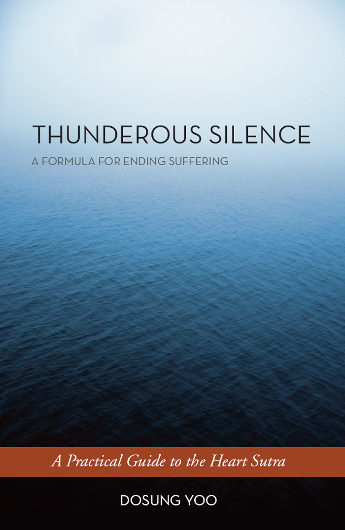 THUNDEROUS SILENCE 199 Elm Street Somerville MA 02144 USA - photo 1