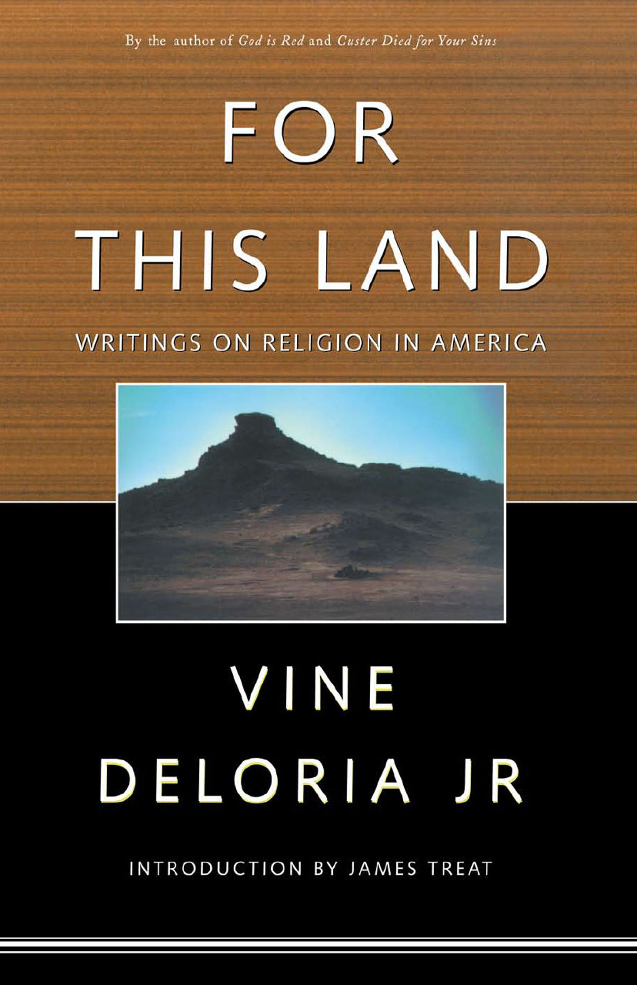 For this Land For this Land Writings on Religion in America Vine Deloria Jr - photo 1