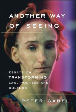 Peter Gabel Another Way of Seeing: Essays on Transforming Law, Politics and Culture