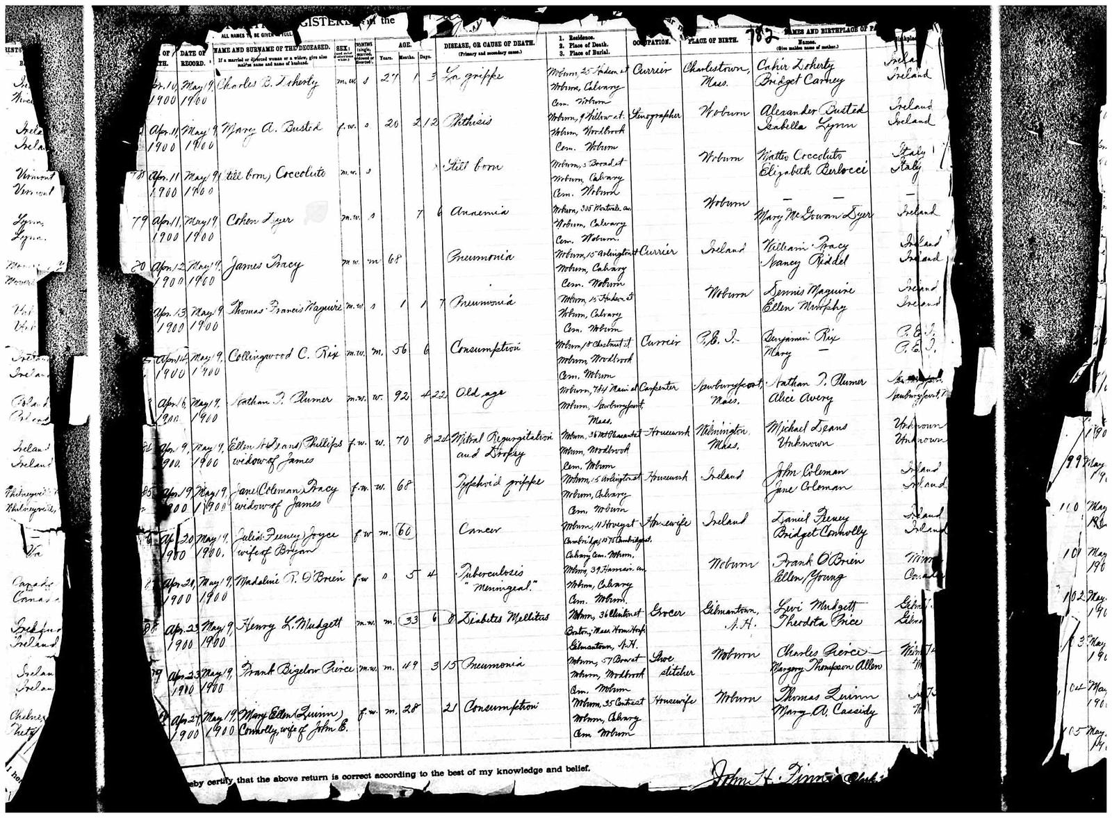 Figure 7 Death Record of Henry LeviMudgett Levi Horton Mudgetts parents were - photo 9