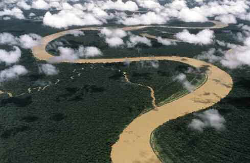 Lush green and seemingly endless in reality the planets dense tropical rain - photo 2