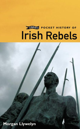 Morgan Llywelyn - OBrien Pocket History of Irish Rebels