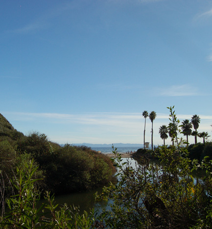 Arroyo Burro Beach CountyPark Lots of beaches in the Santa Barbara areaOf - photo 1