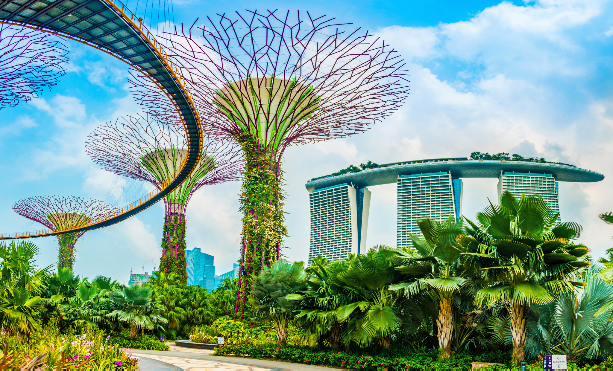 The otherworldly Supertree Grove at Gardens by the Ba Top 10 Singapore - photo 8