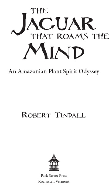 For my beloved pilgrim Susana THE JAGUAR THAT ROAMS THE MIND Like the twists - photo 1