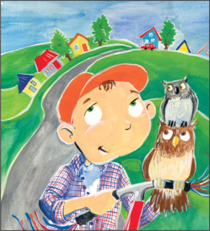 A Literature Kit FOR Owls In The Family By Farley Mowat Written by - photo 1