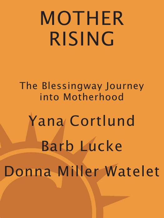 Mother Rising - photo 1