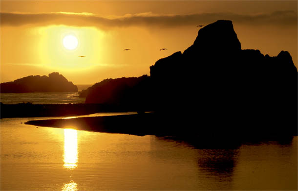 Harris Beach sunset Fishing boat heading out at sunrise on a foggy morning - photo 6