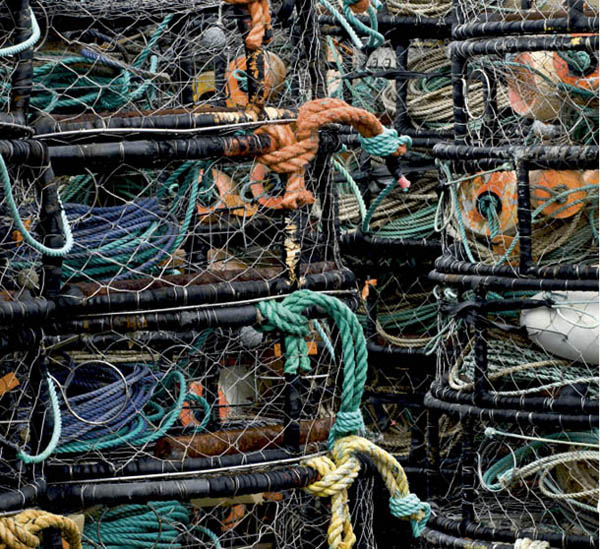 Crab pots Fishing nets fishing lines and rope Wreck of the Mary D Hume - photo 10