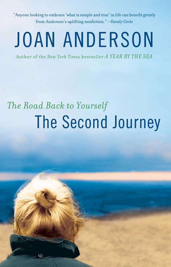 The Second Journey The Road Back to Yourself - image 1