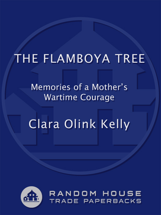 Praise for The Flamboya Tree The Flamboya Tree is that rare treasurea memoir - photo 1