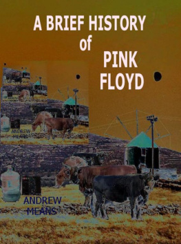 Andrew Means A Brief History of Pink Floyd