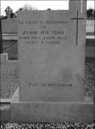 John Horgans final resting place the family plot at Balgriffin Cemetery - photo 4