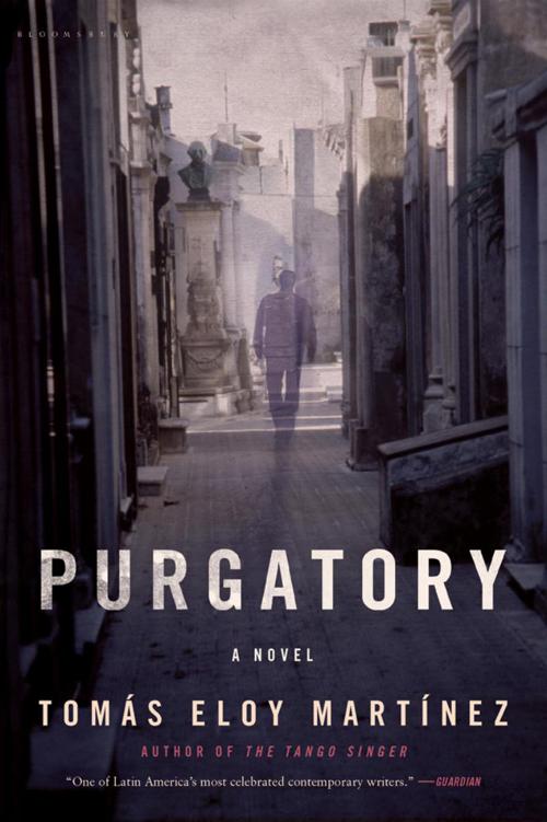 PURGATORY A Novel Toms Eloy Martnez Translated from the Spanish by Frank - photo 1