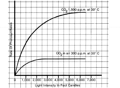 Figure 1 Shows an increase in the rate of photosynthesis with an increase in - photo 4