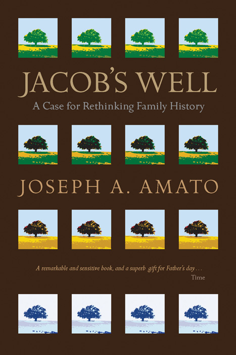 JACOBS WELL Joseph A Amato Jacobs Well A Case for Rethinking Family - photo 1