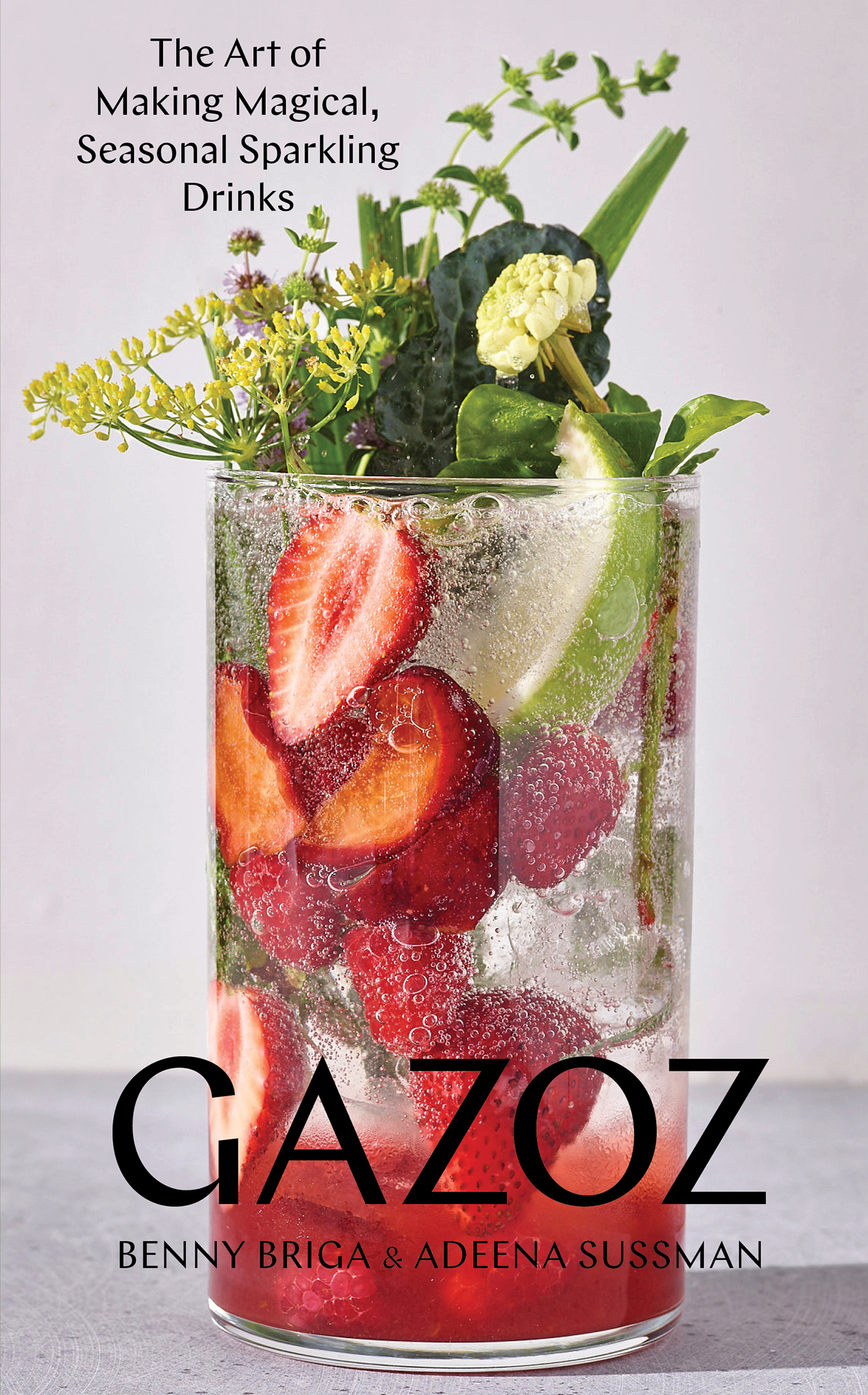 The Art of Making Magical Seasonal Sparkling Drinks Gazoz Benny Briga - photo 1