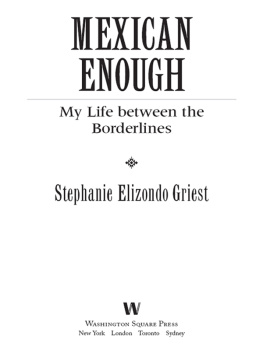 Stephanie Elizondo Griest - Mexican Enough: My Life between the Borderlines