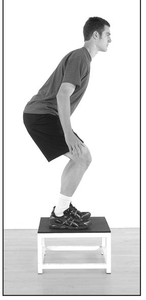 plyometrics an overview Plyometrics has quickly become one of the most - photo 4