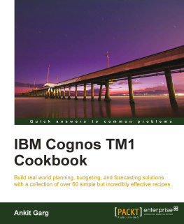 Ankit Garg IBM Cognos TM1 Cookbook