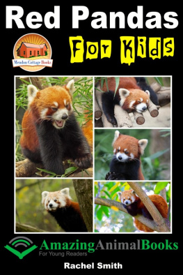 Rachel Smith Red Pandas For Kids