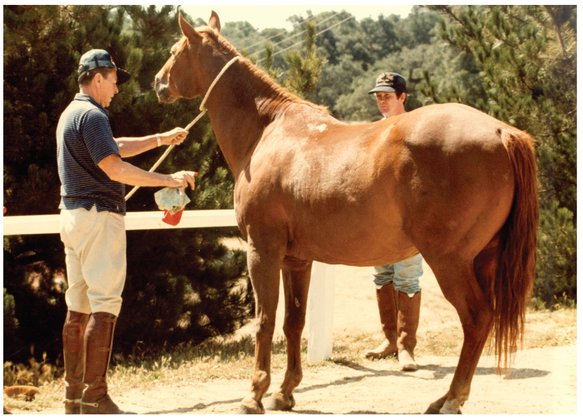 Treating Dormito with fly spray before a ride in 1983 Joking around near - photo 16