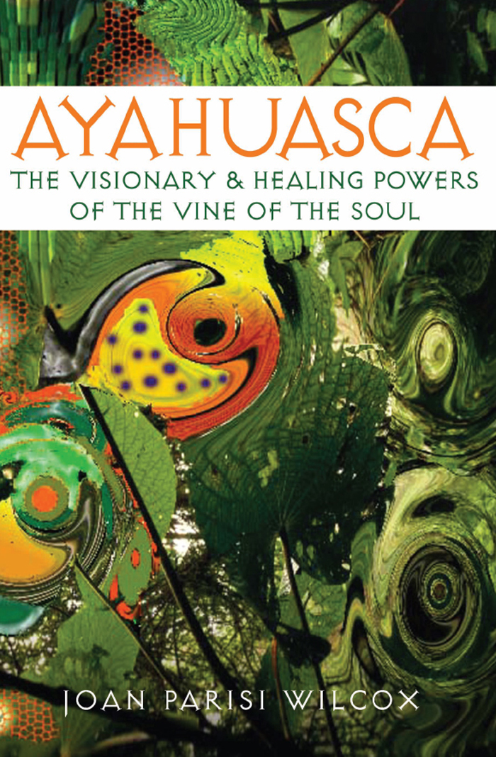 AYAHUASCA THE VISIONARY AND HEALING POWERS OF THE VINE OF THE SOUL JOAN PARISI - photo 1