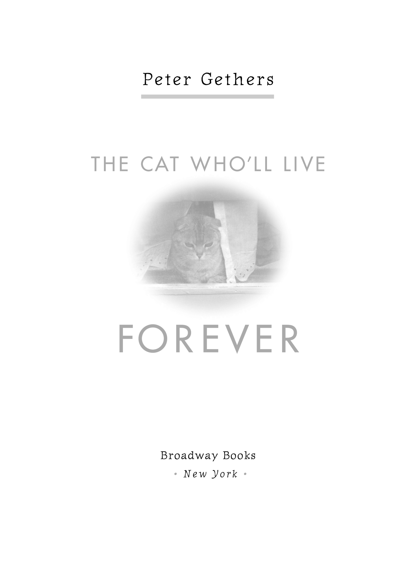 The Cat Wholl Live Forever The Final Adventures of Norton the Perfect Cat and His Imperfect Human - image 2