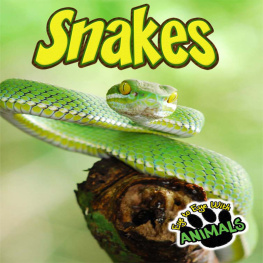 Tom Greve - Snakes