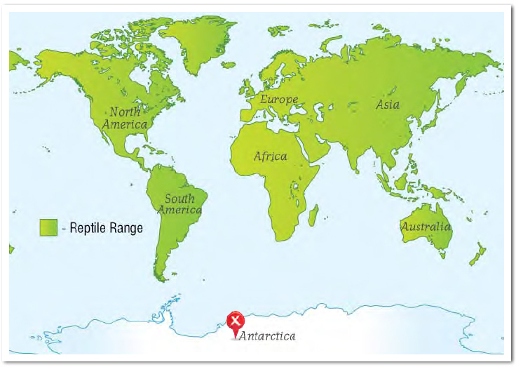 Reptiles can be found on every continent on Earth except for Antarctica It is - photo 8