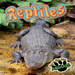 Tom Greve Reptiles