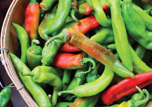 Clockwise from top left fresh green chile luminarias in Santa Fe - photo 8