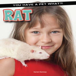 Karen Kenney Rat