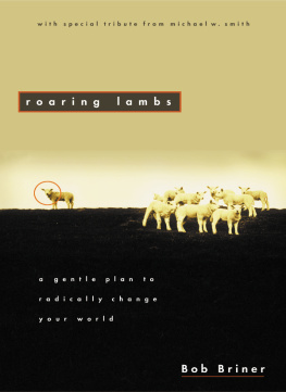 Robert Briner - Roaring Lambs: A Gentle Plan to Radically Change Your World