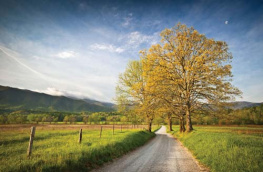 Jason Frye Moon Blue Ridge & Smoky Mountains