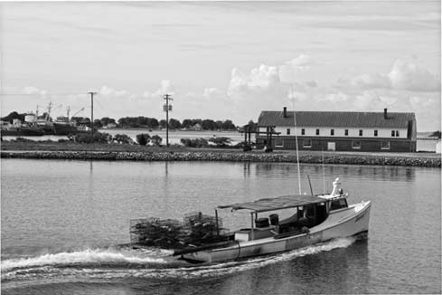 Coastal Virginia sounds like a simple concept where the Atlantic Ocean meets - photo 2