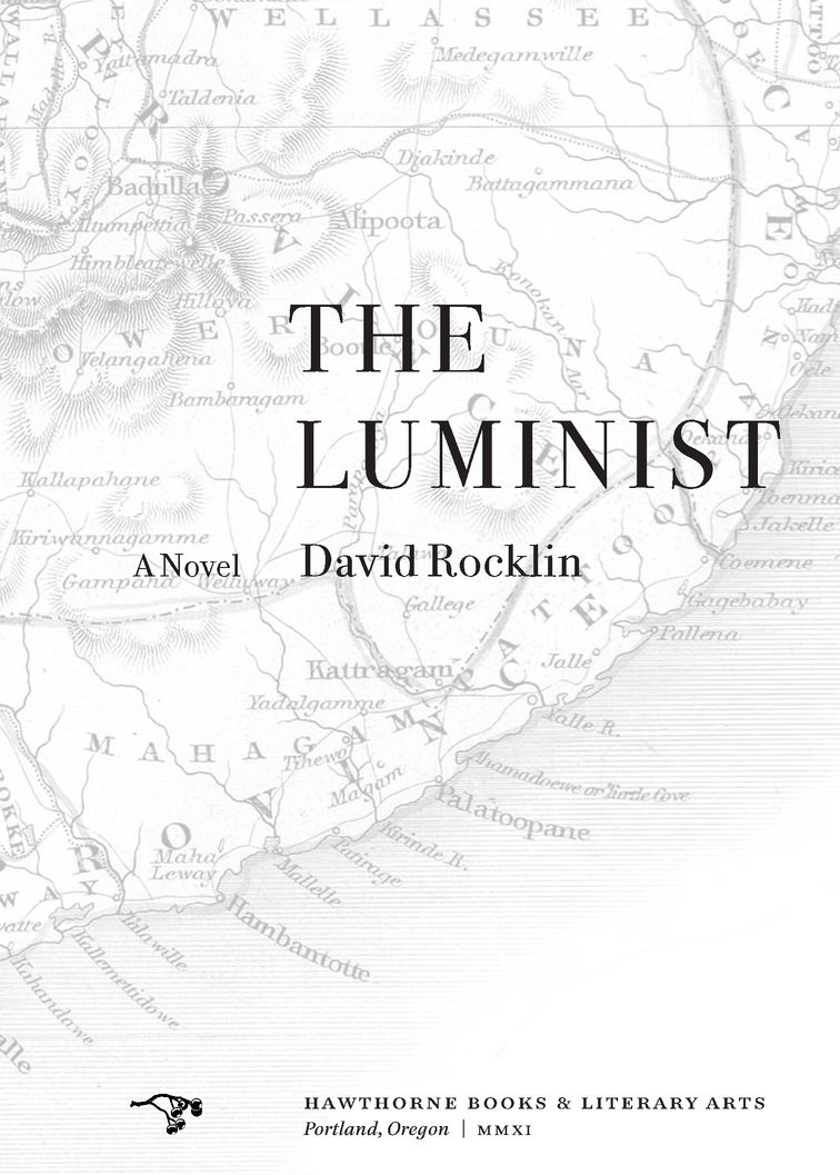 Table of Contents THE LUMINIST IS a warm dazzle of a first novel a - photo 2