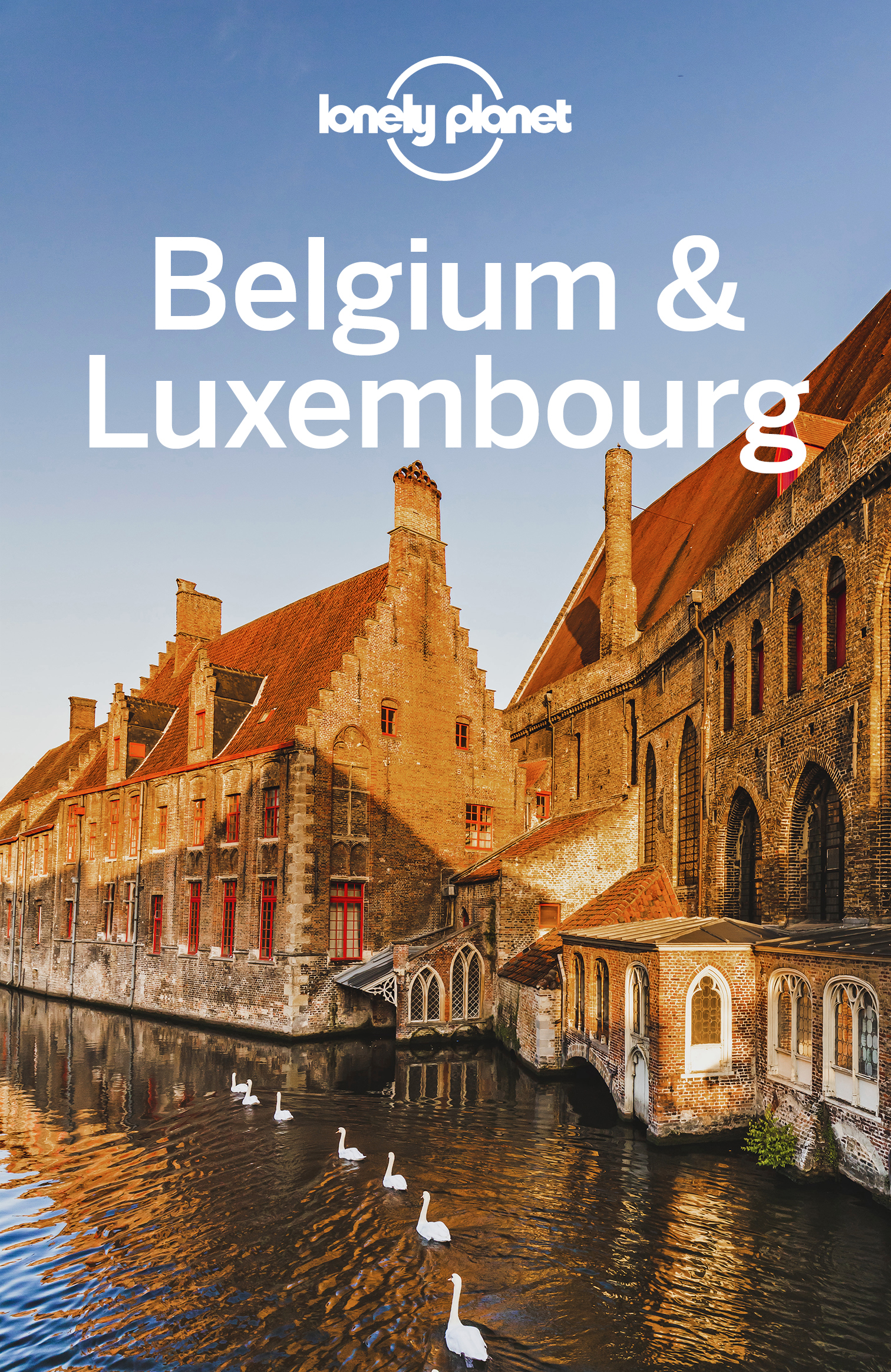 Lonely Planet Belgium Luxembourg 8 Travel Guide - image 1