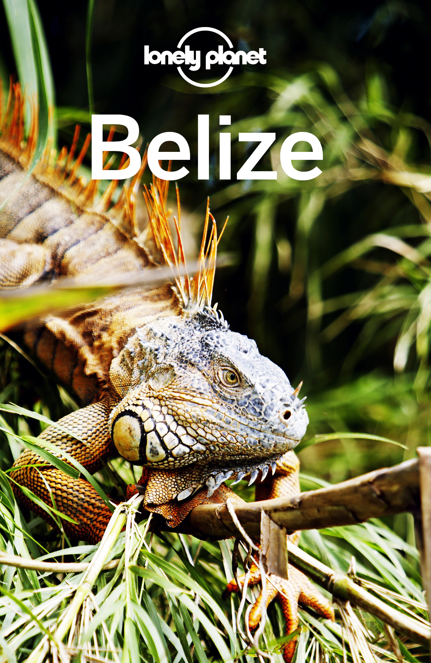 Lonely Planet Belize 8 Travel Guide - image 1