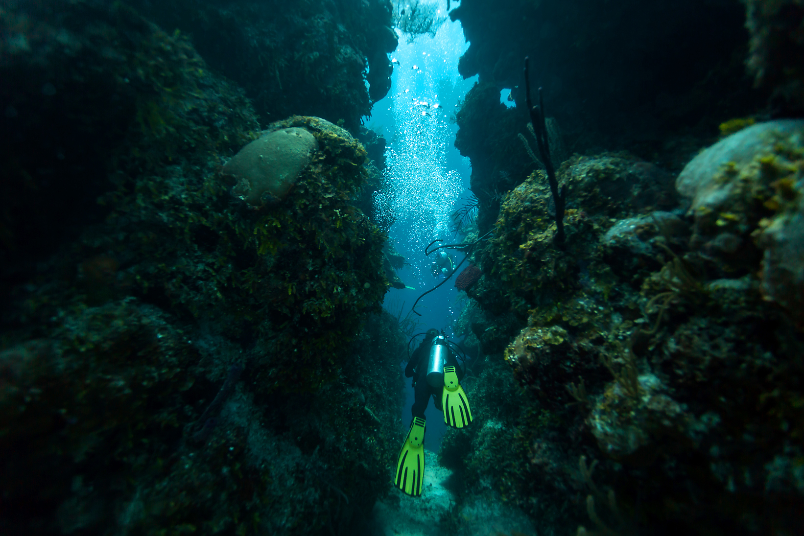 PETE NIESENSHUTTERSTOCK The Elbow is the most beloved Turneffe dive site - photo 11