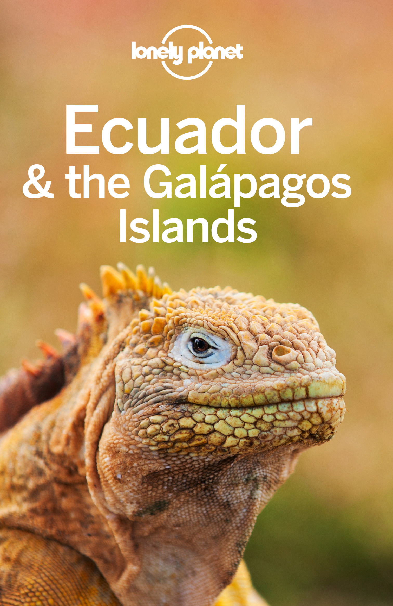 Lonely Planet Ecuador the Galapagos Islands 12 Travel Guide - image 1