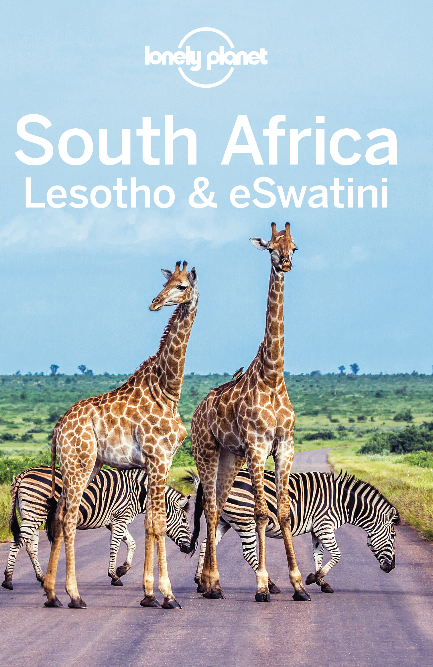 Lonely Planet South Africa Lesotho Eswatini 12 Travel Guide - image 1