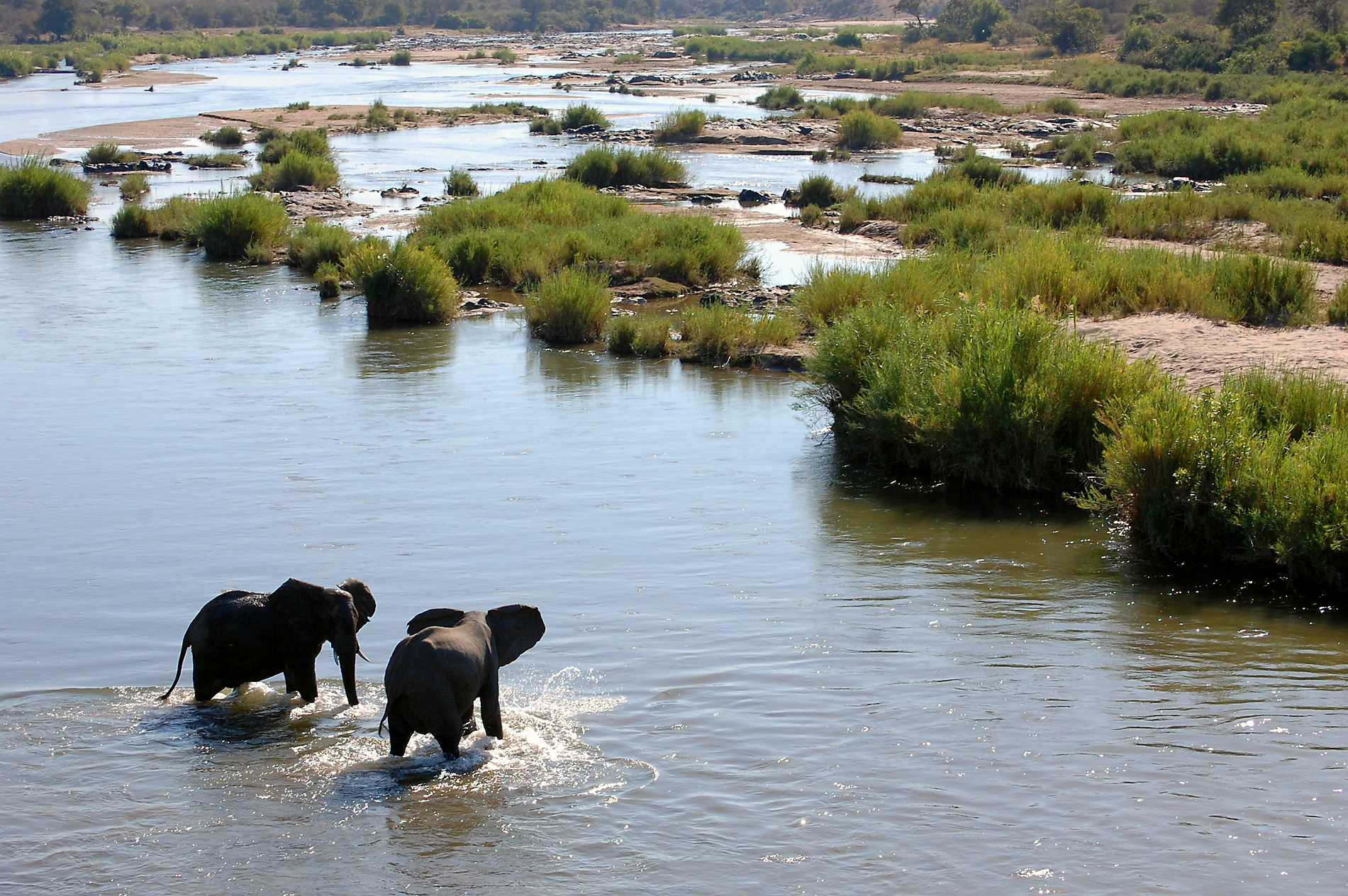 CHRIS KRUGER SHUTTERSTOCK Rivers and rhinos savannahs and big cats - photo 12