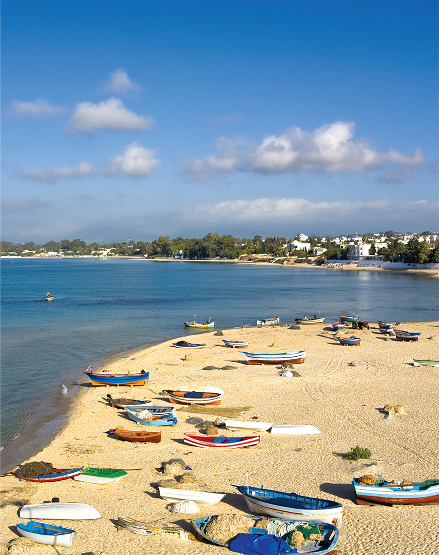 Bordered on two sides by the Mediterranean Sea Tunisias culture has been - photo 2