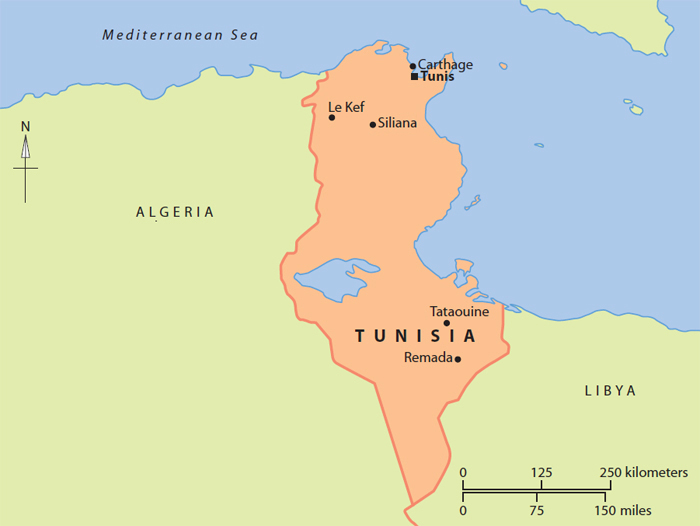 Tunisias location near the Mediterranean Sea has made it a cultural and trade - photo 3