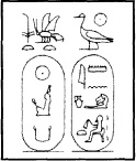 This is how Hatshepsuts name would have appeared in ancient Egypt The names of - photo 4