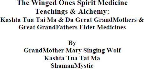 The Winged Ones Spirit Medicine Teachings Alchemy Kashta Tua Tai Ma Da - photo 1