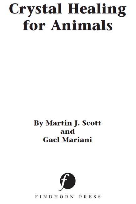 Martin J Scott and Gael Mariani 2002 First published in 2002 ISBN 10 - photo 1