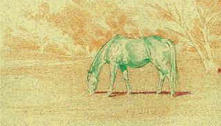 This drawing is on Strathmore Artagain DrawingPaper in Beach Sand Ivory The - photo 1